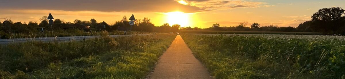 rollend durchs leben 